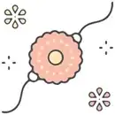 Rakhi Gifts-Giftii